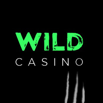 Wild Joker Online Casino Evaluation